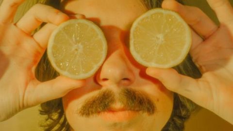 Lemons Lemons Lemons Lemons Lemons