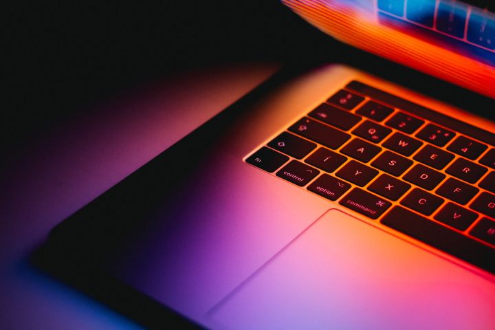 Online School Workshops