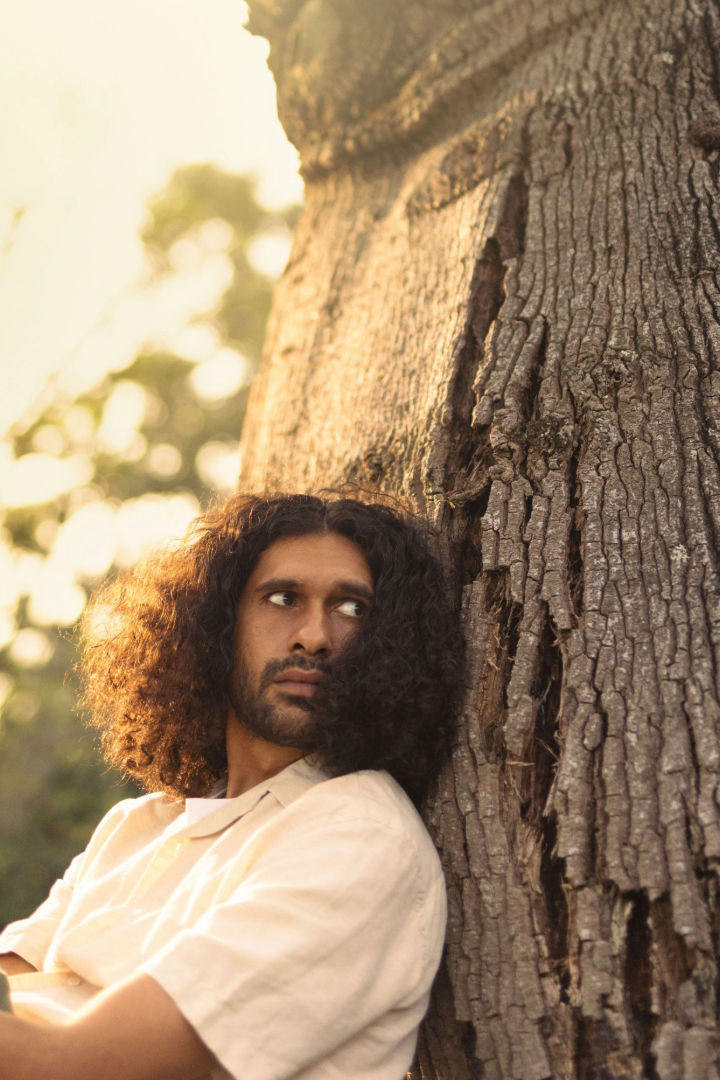 Whitefella Yella Tree